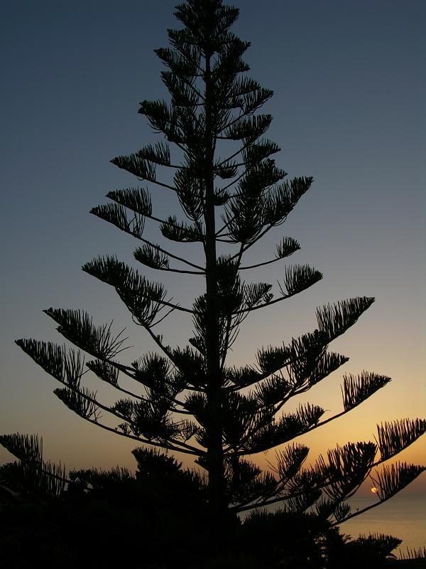 Tropea Sunset (20).jpg